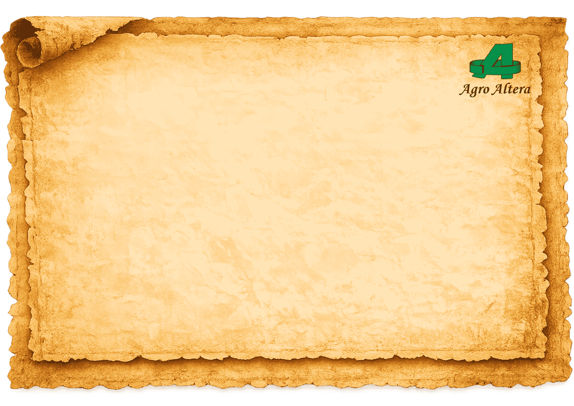 Contact Background